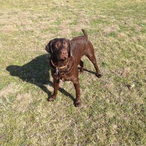 Meet your Posher, Robert